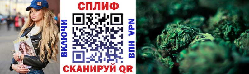 блэк спрут ССЫЛКА  Новоульяновск  Шишки марихуана THC 21% 